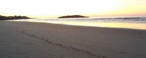 footprints